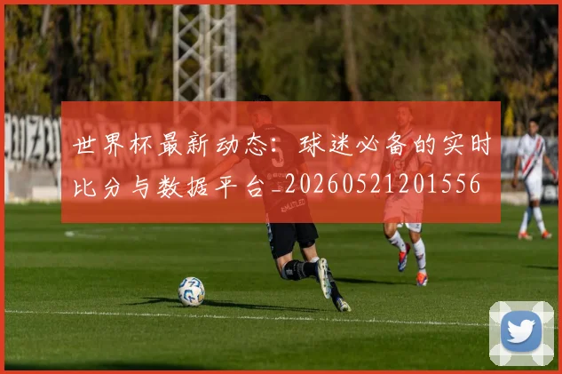 世界杯最新动态：球迷必备的实时比分与数据平台_20260521201556