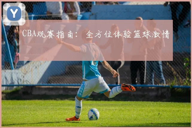 CBA观赛指南:全方位体验篮球激情